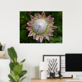 Grote roze en witte bloem Natuurfoto Poster (Thuiskantoor)
