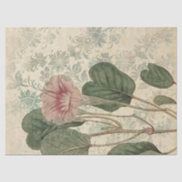 Grote  roze ontkoppeling tissuepapier