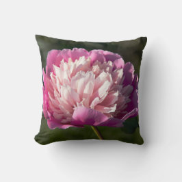 Grote roze pioenbloemen in lentedag kussen