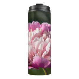 Grote roze pioenbloemen in lentedag   thermosbeker