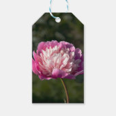 Grote roze pony's in de lente cadeaulabel (Voorkant)