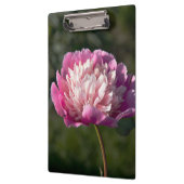 Grote roze pony's in de lente klembord (Links)