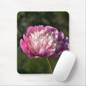 Grote roze pony's in de lente muismat (Met muis)