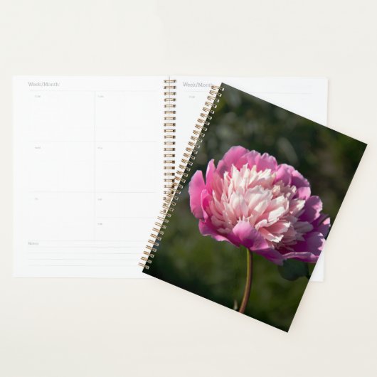 Grote roze pony's in de lente planner (Display)