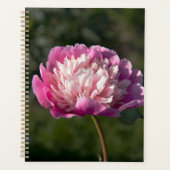 Grote roze pony's in de lente planner (Voorkant)