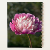 Grote roze pony's in de lente planner (Achterkant)