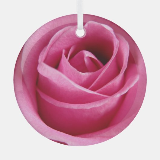 Grote roze roze roze roos glas ornament (Voorkant)
