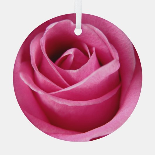 Grote roze roze roze roos glas ornament (Achterkant)
