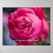 Grote roze roze roze roos poster (Voorkant)