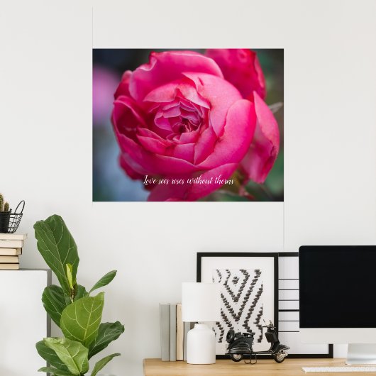 Grote roze roze roze roos poster (Thuiskantoor)