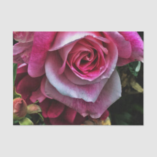 Grote roze roze roze tissuepapier
