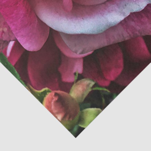 Grote roze roze roze tissuepapier (Detail)