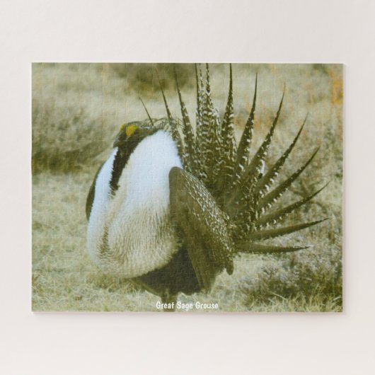 Grote Sage Grouse Legpuzzel (Horizontaal)
