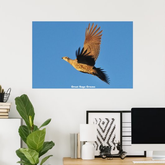 Grote Sage Grouse Poster (Thuiskantoor)
