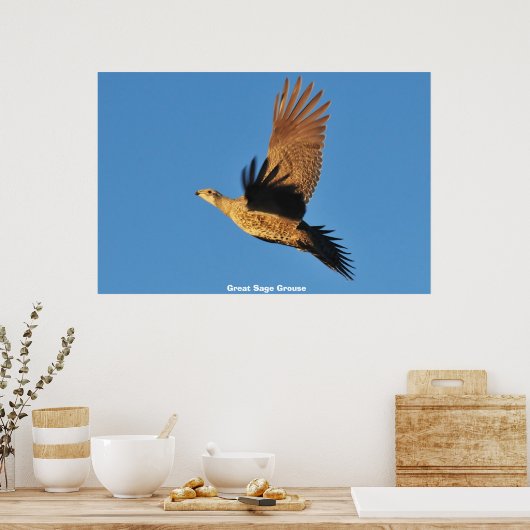 Grote Sage Grouse Poster (Keuken)