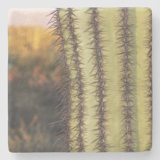 Grote Saguaro Cactus, Arizona, onderzetter van vie (Voorkant)