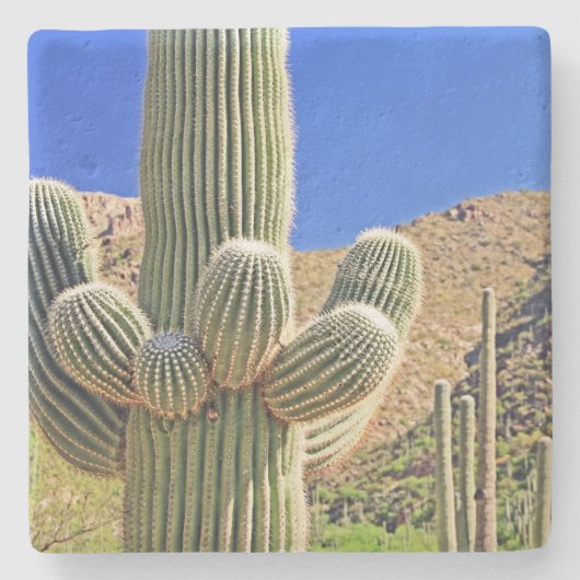 Grote Saguaro Cactus, Arizona, onderzetter van vie (Voorkant)