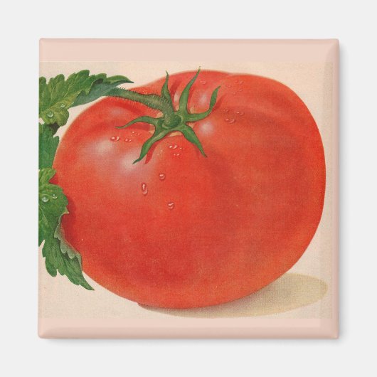 grote sappige tomaat magneet (Voorkant)