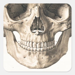 Grote schedel, kleine schedel vierkante sticker