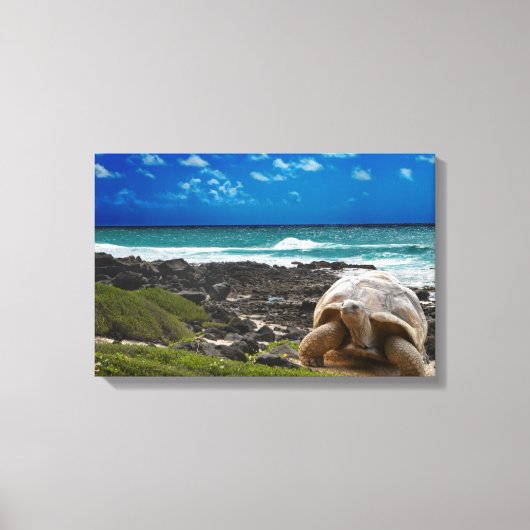 Grote schildpad aan de rand van het zee canvas afdruk (Voorkant)