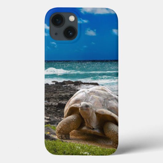 Grote schildpad aan de rand van het zee Case-Mate iPhone case (Achterkant)