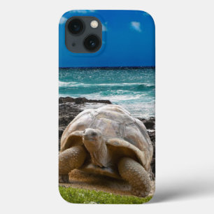 Grote schildpad aan de rand van het zee Case-Mate iPhone case
