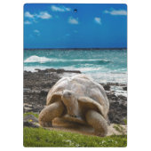 Grote schildpad aan de rand van het zee klembord (Achterkant)