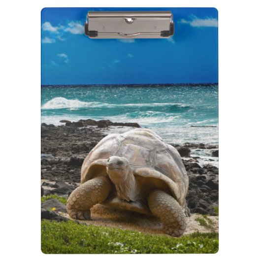 Grote schildpad aan de rand van het zee klembord (Voorkant)