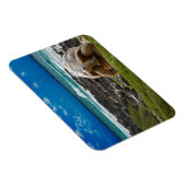 Grote schildpad aan de rand van het zee magneet (Rechterzijde)