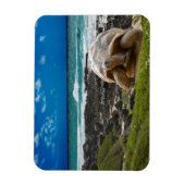 Grote schildpad aan de rand van het zee magneet (Verticaal)