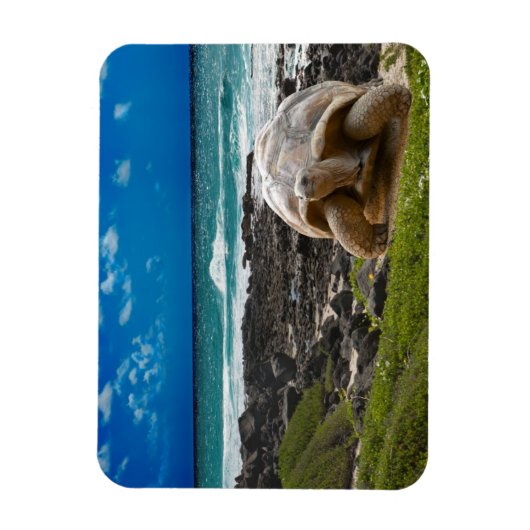 Grote schildpad aan de rand van het zee magneet (Verticaal)