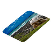 Grote schildpad aan de rand van het zee magneet (Linkerzijde)