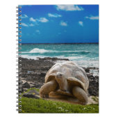 Grote schildpad aan de rand van het zee notitieboek (Voorkant)