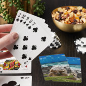 Grote schildpad aan de rand van het zee pokerkaarten (Insitu)