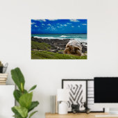 Grote schildpad aan de rand van het zee poster (Thuiskantoor)