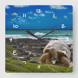 Grote schildpad aan de rand van het zee vierkante klok