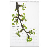 Grote Seattle Japanse tuinagenda Kalender (Mar 2026)