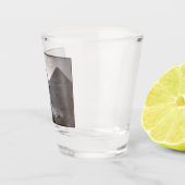 Grote Sfinx & Gizeh Piramides Necropolis Egypte Shot Glas (Rechts)