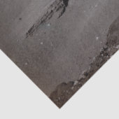 Grote Sfinx & Gizeh Piramides Necropolis Egypte Tissuepapier (Detail)