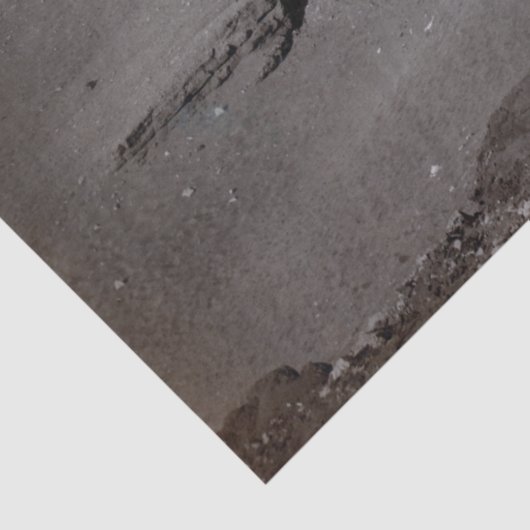 Grote Sfinx & Gizeh Piramides Necropolis Egypte Tissuepapier (Detail)