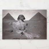 Grote Sfinx & Gizeh Piramides Necropolis Egypte Voedselcontainer Etiket (Enkel label)