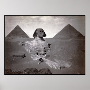 Grote Sfinx van Giza Necropolis en Piramides Poster