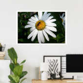 Grote Shasta Daisy Full Faced Poster (Thuiskantoor)