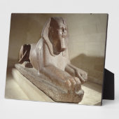 Grote sinaasappel uit Tanis (graniet) Fotoplaat (Zijkant)