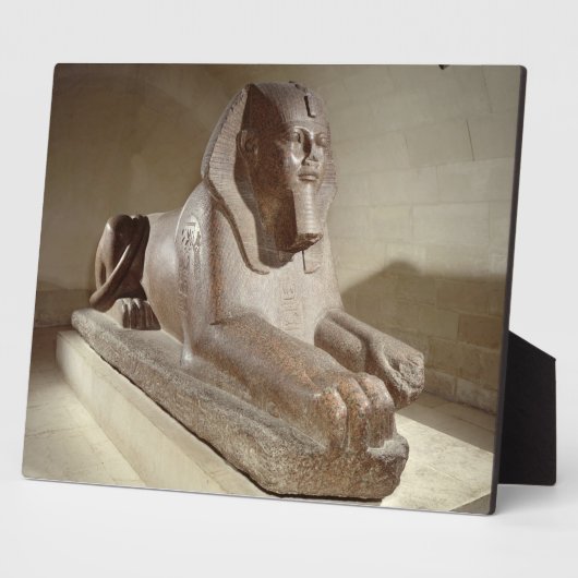 Grote sinaasappel uit Tanis (graniet) Fotoplaat (Zijkant)