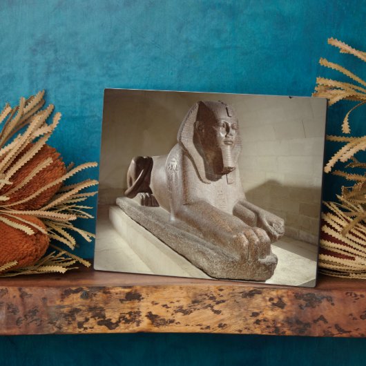 Grote sinaasappel uit Tanis (graniet) Fotoplaat (Zijkant)