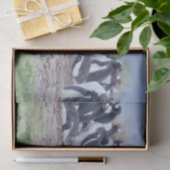 Grote Skua voor pinguïn kolonie Tissuepapier (Geschenk)