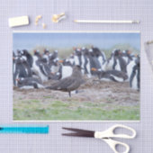 Grote Skua voor pinguïn kolonie Tissuepapier (Craft)