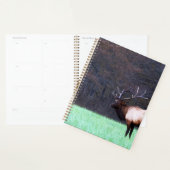 Grote Smoky Mountain Elk 2026 Planner (Display)
