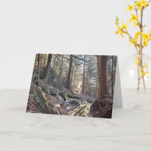 Grote Smoky Mountains Evergreen Forest Vakantie Kaart (Gele Bloem)
